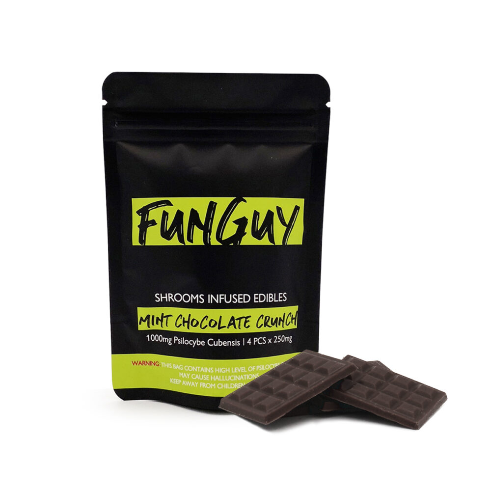 Funguy Mint Chocolate 1000mg