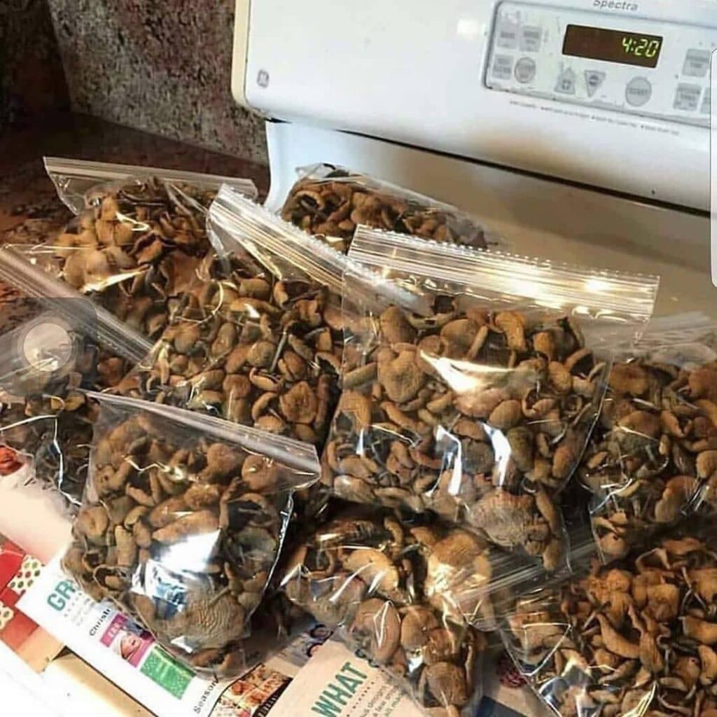 ways to consume dried magic mushrooms, microdosing psychedelic mushrooms