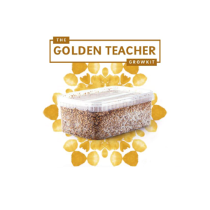 golden teacher grow kit