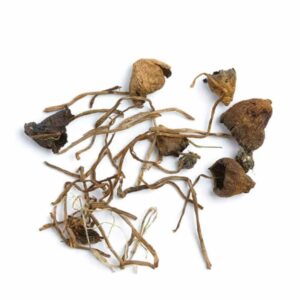 buy liberty cap mushrooms in uk