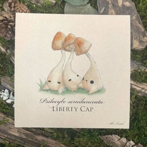 buy liberty caps uk